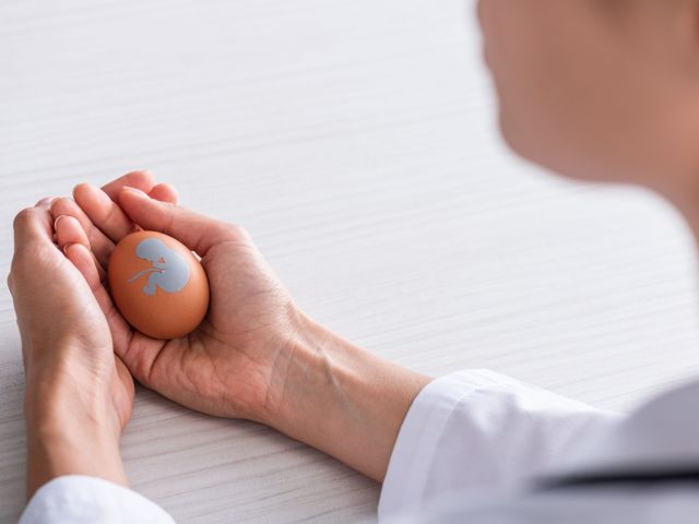 Conoce cómo es donar óvulos